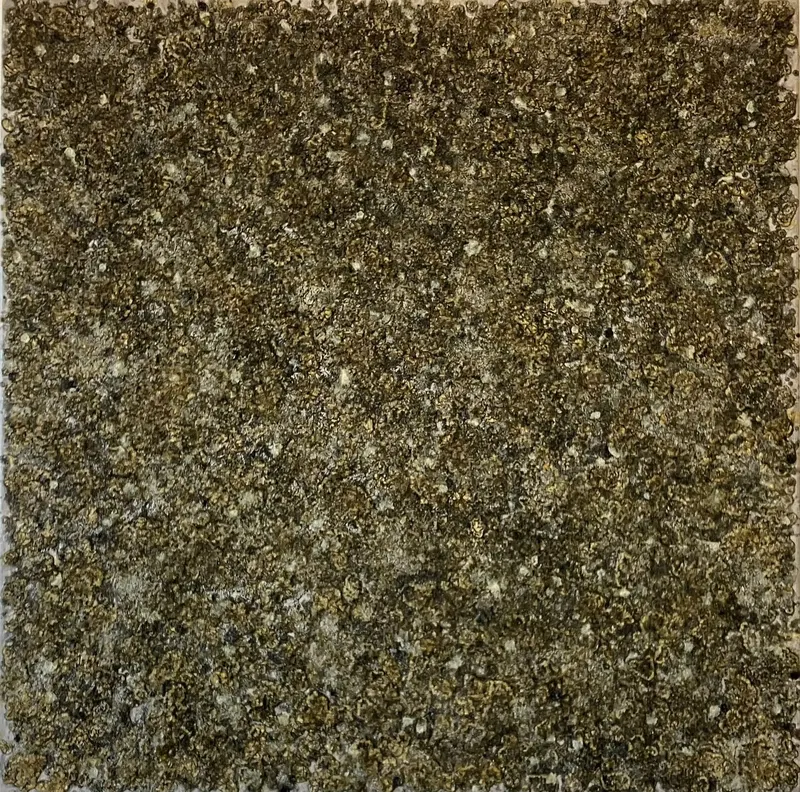 Oil on canvas, painting 10