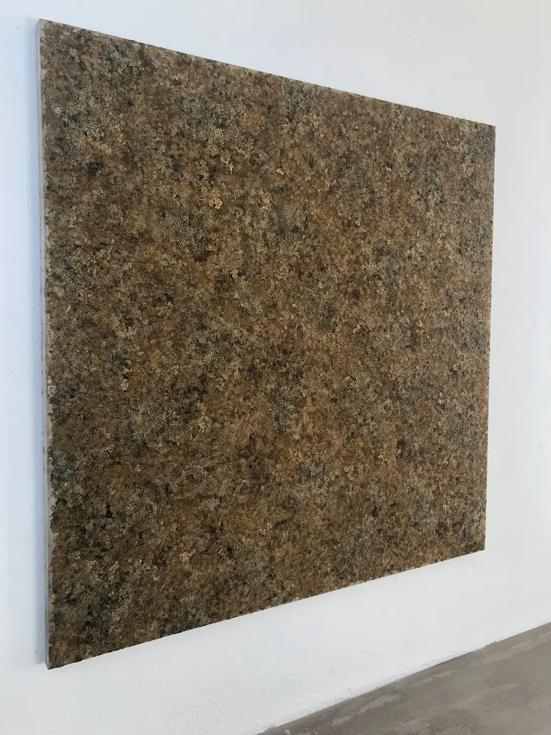 Oil on canvas, painting 56
