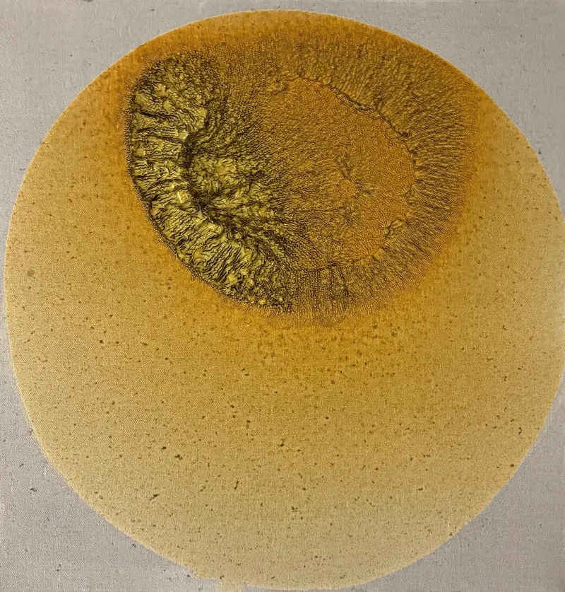 Oil on canvas, painting 58